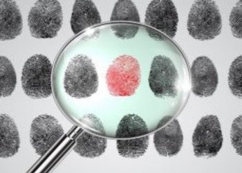 Produtores de conteúdo na mira