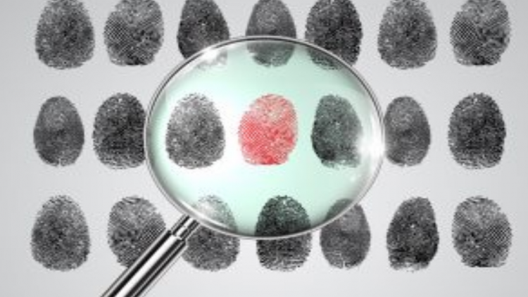 Produtores de conteúdo na mira