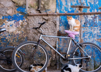 As tendências visuais que vão definir 2018