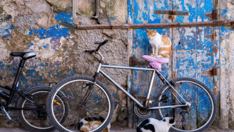 As tendências visuais que vão definir 2018