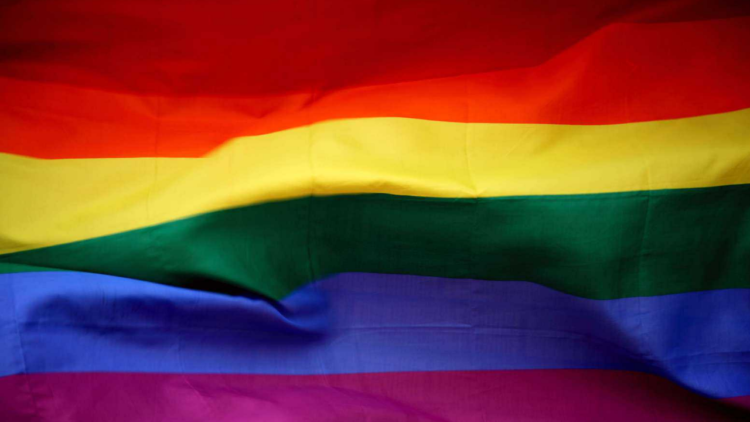 10 influencers para seguir no Mês do Orgulho LGBTI+