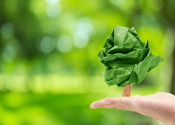 A embalagem de papel, cartão, papelão e o meio ambiente