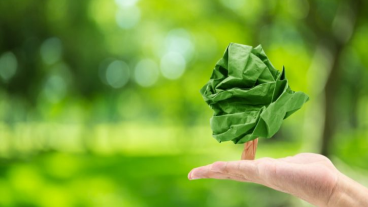 A embalagem de papel, cartão, papelão e o meio ambiente