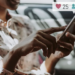 Influência múltipla: onde e como investir o conteúdo de influencers
