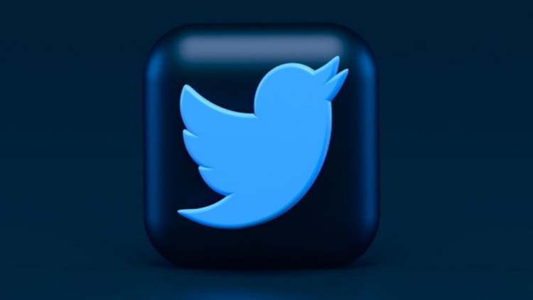 O Mundo Twitter: plataforma se destaca entre creators que mostram ‘vida real’