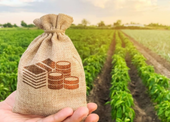 Capacidade rápida de adaptação do agronegócio trouxe boas notícias