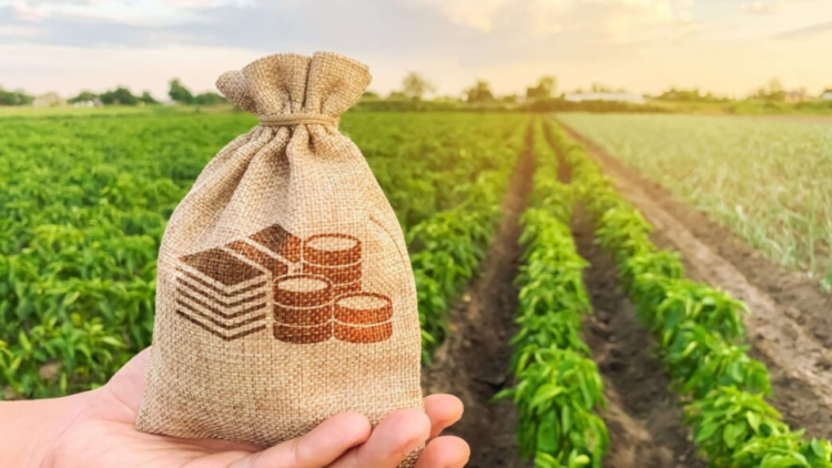 Capacidade rápida de adaptação do agronegócio trouxe boas notícias