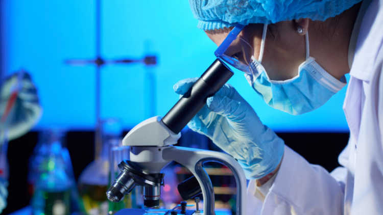 Ferramenta gratuita facilita conversa entre jornalistas e cientistas