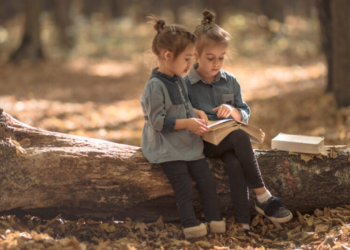 Produtores de conteúdo exercem influência por meio do meio ambiente e da literatura