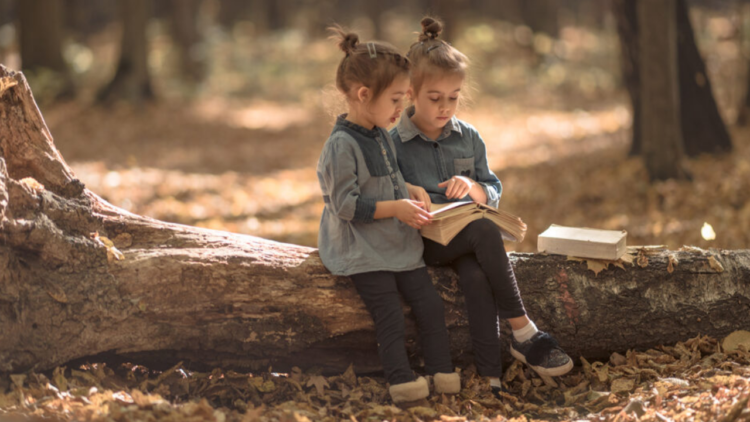 Produtores de conteúdo exercem influência por meio do meio ambiente e da literatura
