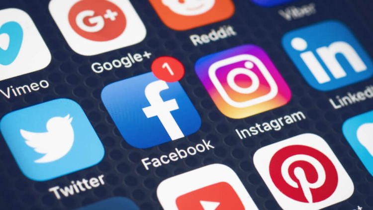 Micro creators quebram barreiras ao falar do agro nas redes sociais