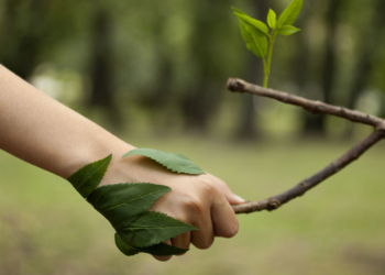 6 microinfluenciadores de meio ambiente para começar a seguir em 2021