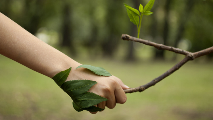 6 microinfluenciadores de meio ambiente para começar a seguir em 2021