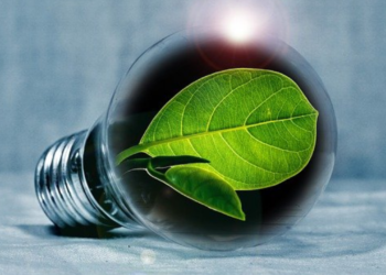 A importância da comunicação interna na implementação do ESG nas empresas