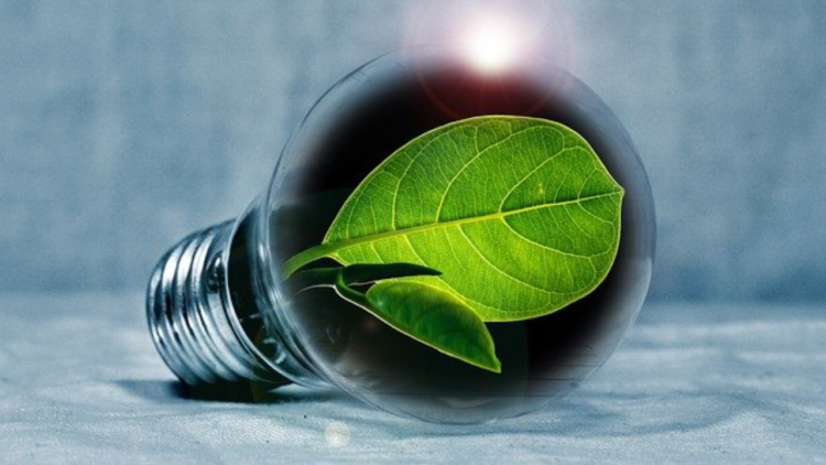 A importância da comunicação interna na implementação do ESG nas empresas