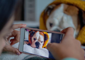 6 microinfluenciadores pets para começar a seguir em 2021