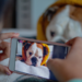6 microinfluenciadores pets para começar a seguir em 2021