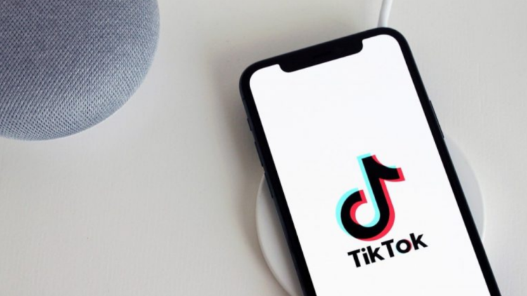 TikTok aposta em novas soluções de branding para marcas