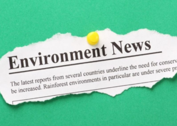 Diário do Clima: Google seleciona projeto brasileiro de monitoramento de ações governamentais