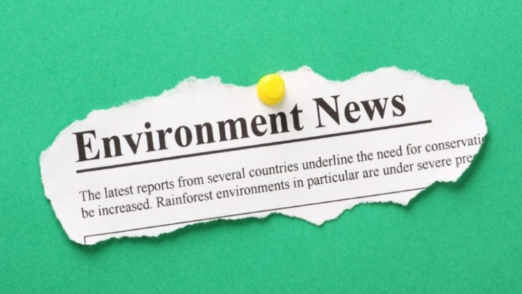 Diário do Clima: Google seleciona projeto brasileiro de monitoramento de ações governamentais