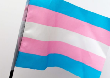 88,6% das interações de pessoas trans no Twitter são sobre transfobia