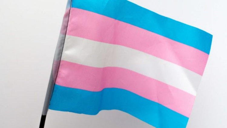 88,6% das interações de pessoas trans no Twitter são sobre transfobia