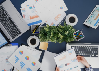 Marcas nativas digitais impulsionam a Creator Economy