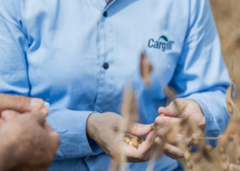 A Comunicação e a Sustentabilidade no mundo corporativo