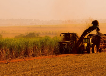 Desafios da comunicação no campo