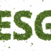 Comunicação humanizada e ESG: um caminho sem volta