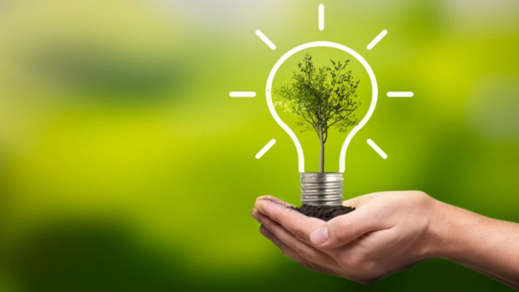 Abordagem da ESG nas redes sociais expõe dificuldades das empresas ao tratar o tema