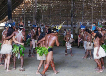 Espaço ocupado por indígenas na imprensa brasileira cresceu nos últimos 10 anos