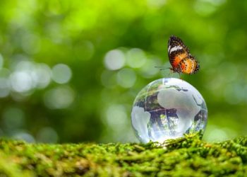 Plataformas Melhor RH e Negócios da Comunicação lançam Fórum Melhor RH ESG e Comunicação