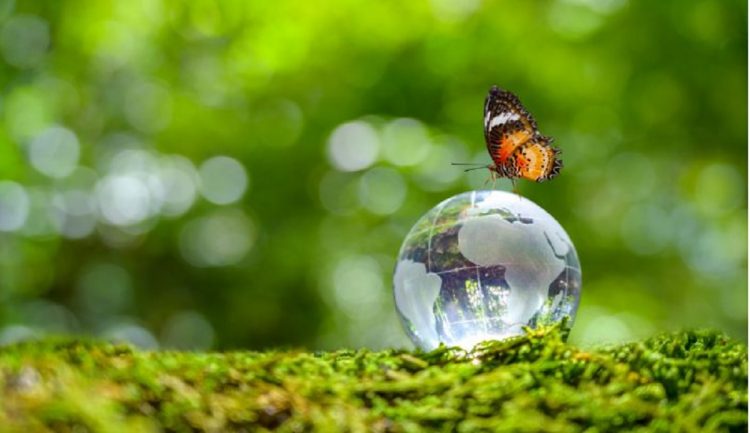 Plataformas Melhor RH e Negócios da Comunicação lançam Fórum Melhor RH ESG e Comunicação