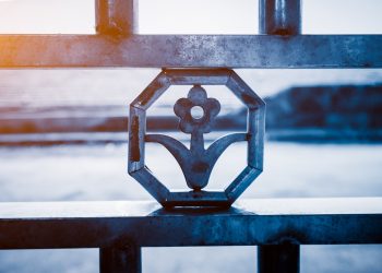 Sustentabilidade sem exageros