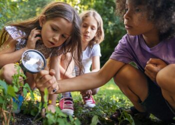 Dia Mundial da Educação Ambiental: 26/1, avançar é preciso