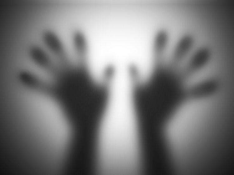 Continuam as agressões contra jornalistas no Brasil, principalmente mulheres