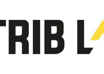 STRIB LAB, nova agência da AMCNI-LA chega ao Brasil