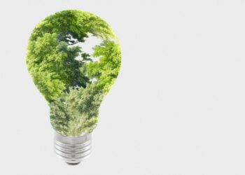 Sustentabilidade exige mudanças