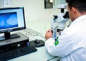 Ideal é a nova agência de PR da SGS no Brasil