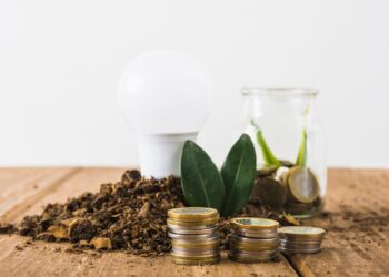 Para o ESG, orçamento não é o problema