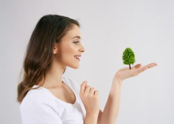 Preparando o terreno para a sustentabilidade