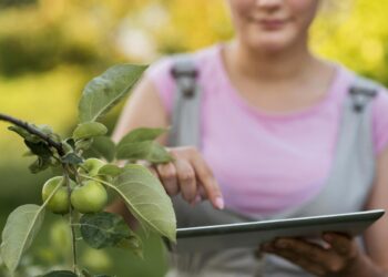 Entender para atender: a força do diálogo com propósito
