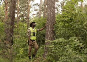 Por que a comunicação é importante para a cultura e para o engajamento no setor florestal?