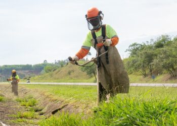 Mulheres na Infraestrutura: transformação que move o futuro