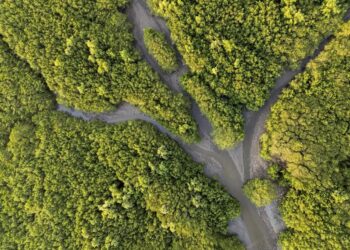 Edital oferece bolsas de R$ 10 mil para reportagens sobre adaptação climática em cidades costeiras