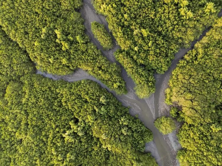 Edital oferece bolsas de R$ 10 mil para reportagens sobre adaptação climática em cidades costeiras