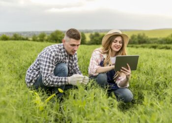 O desafio reputacional do agronegócio