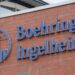 Prêmio Boehringer Ingelheim de Jornalismo abre inscrições para reportagens sobre saúde humana e animal